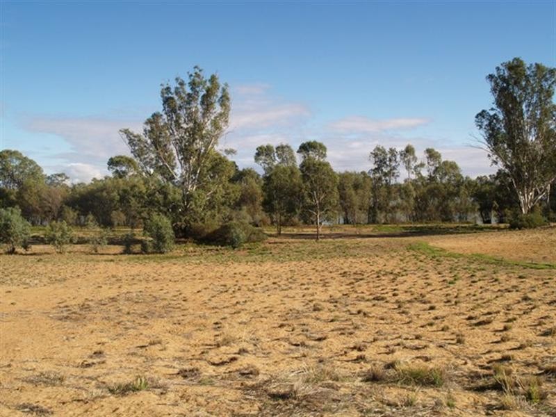 Lot 16 Ridgeway Private Estate, Morgan SA 5320