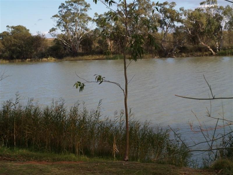 Lot 16 Ridgeway Private Estate, Morgan SA 5320