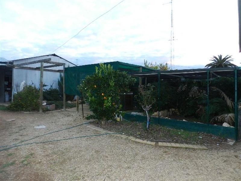 8 Langdon Terrace, Barmera SA 5345
