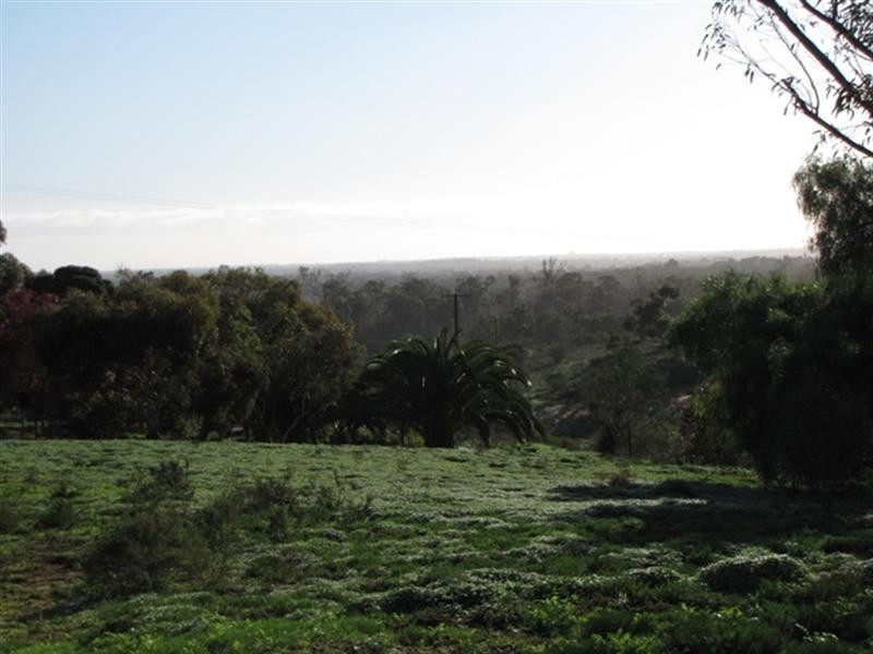 356 Karoonda Highway, Loxton SA 5333