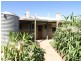 13 Mahoney Street, Berri SA 5343
