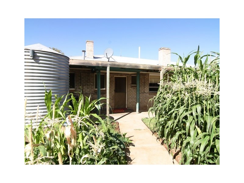 13 Mahoney Street, Berri SA 5343