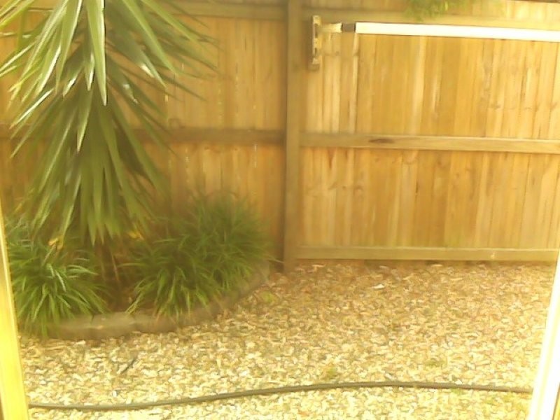 36 Silvyn Street, Redcliffe QLD 4020