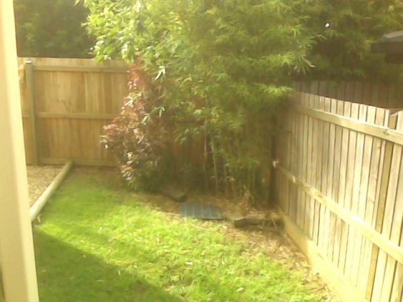 36 Silvyn Street, Redcliffe QLD 4020