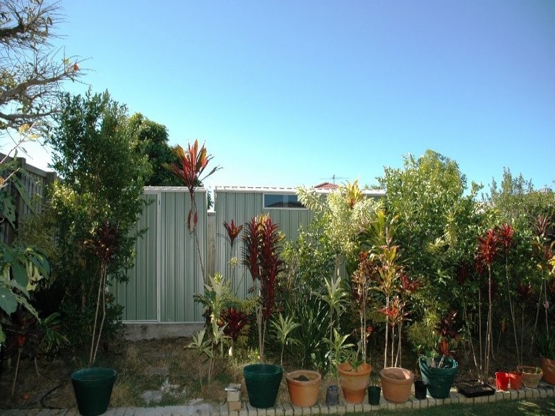 52 Teak Street, Rothwell QLD 4022