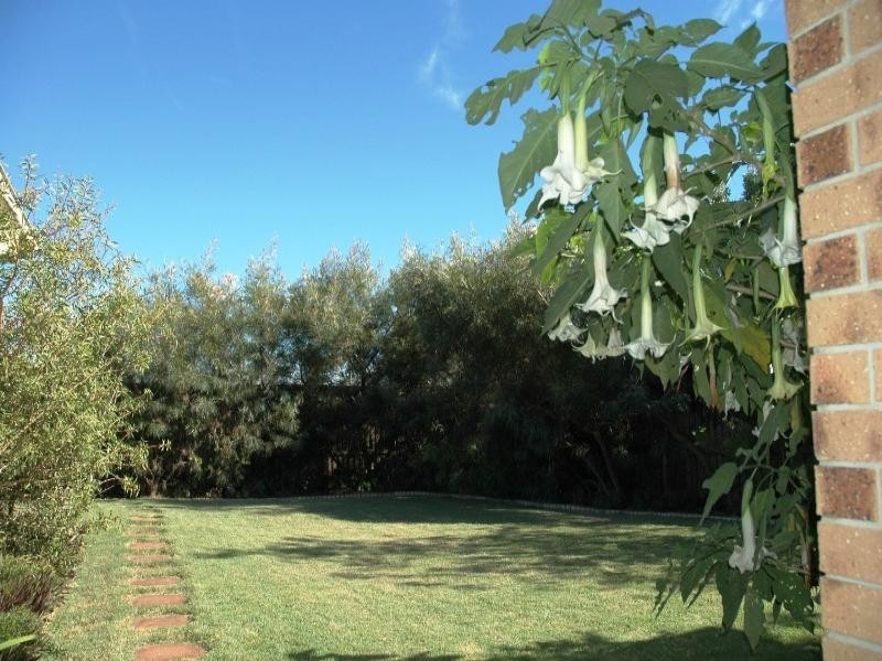 52 Teak Street, Rothwell QLD 4022