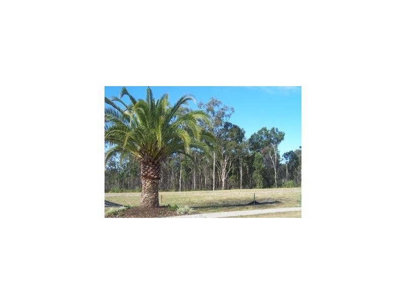 19 Eugenia Avenue, Rothwell QLD 4022
