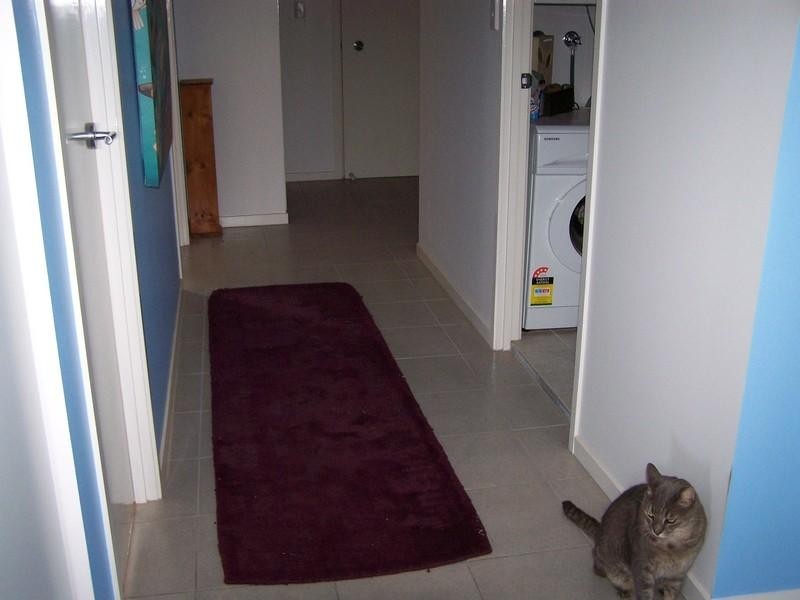 8/8 Bunton Street, Scarborough QLD 4020