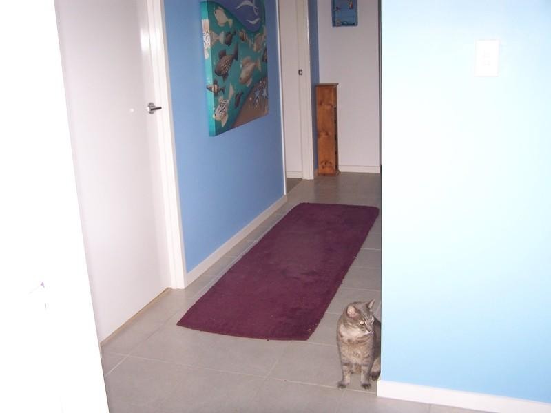 8/8 Bunton Street, Scarborough QLD 4020