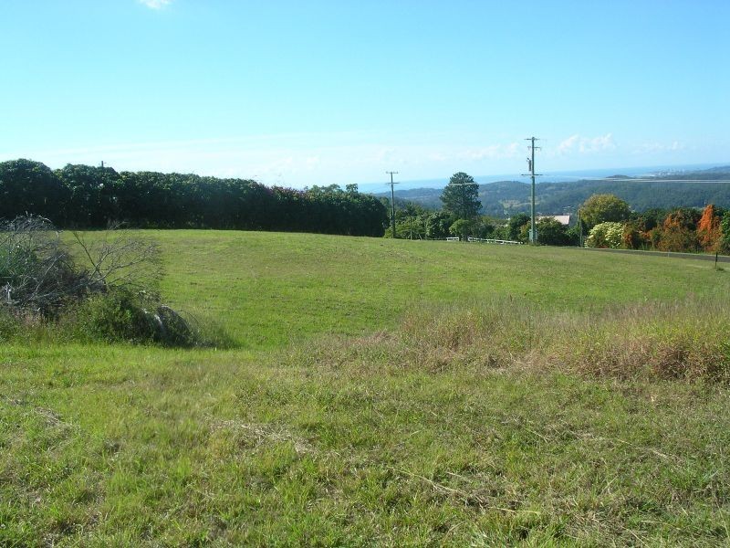 550 Trees Road, Tallebudgera QLD 4228