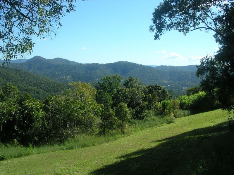 550 Trees Road, Tallebudgera QLD 4228