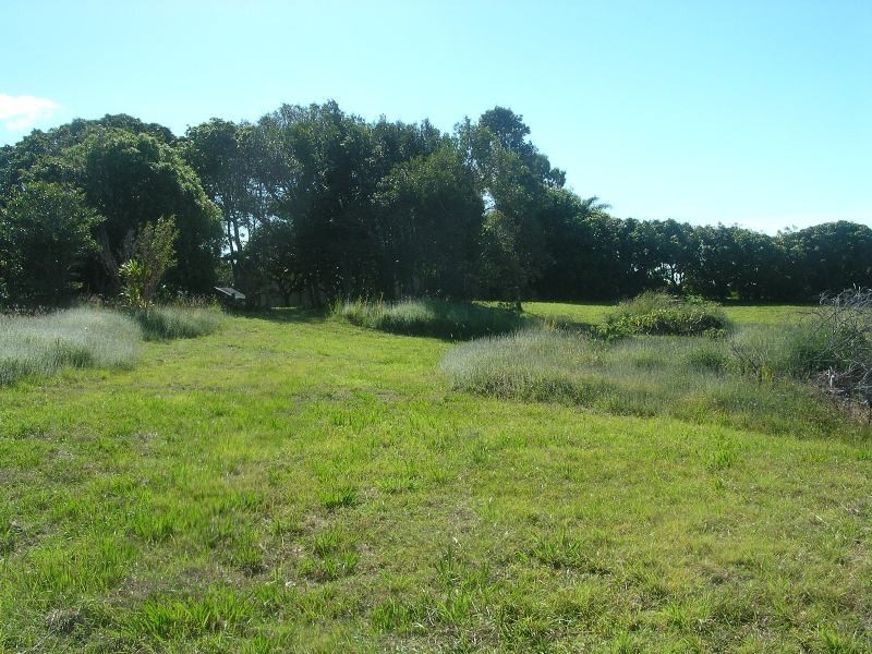 550 Trees Road, Tallebudgera QLD 4228