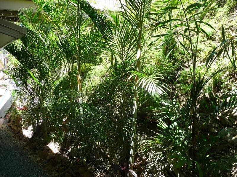 148 Ocean Parade, Burleigh Heads QLD 4220