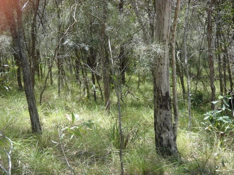 Agnes Water QLD 4677