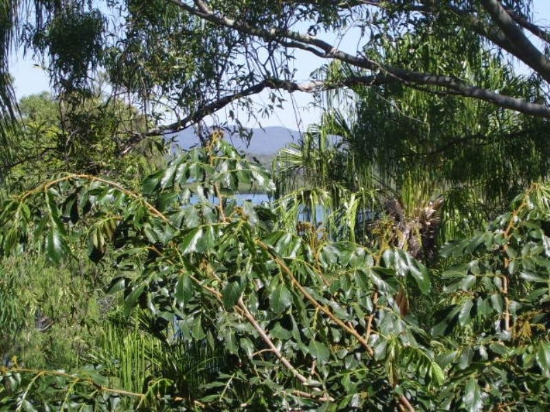 Seventeen Seventy QLD 4677