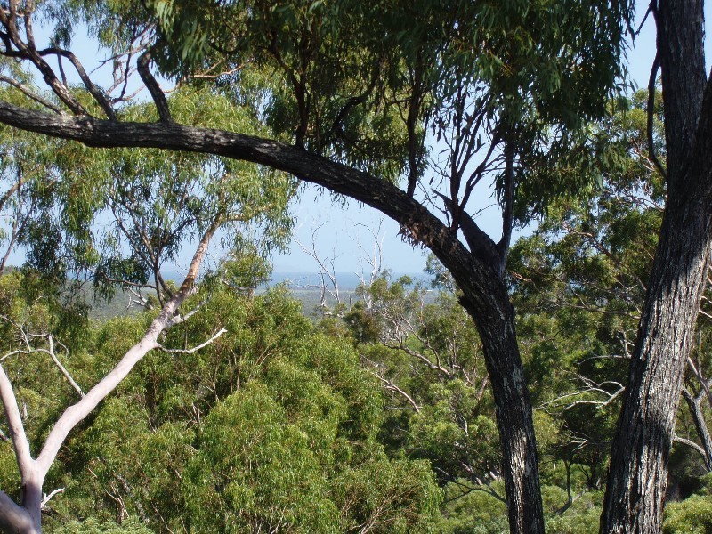 Agnes Water QLD 4677