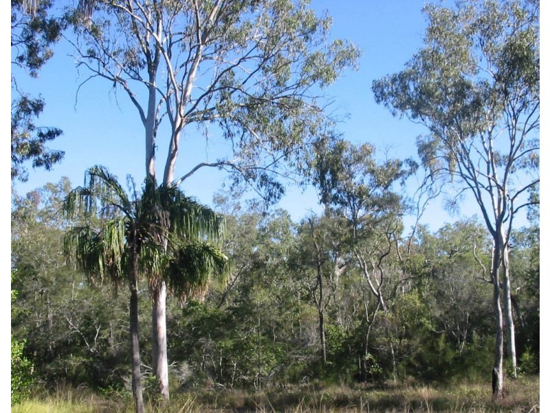 Agnes Water QLD 4677