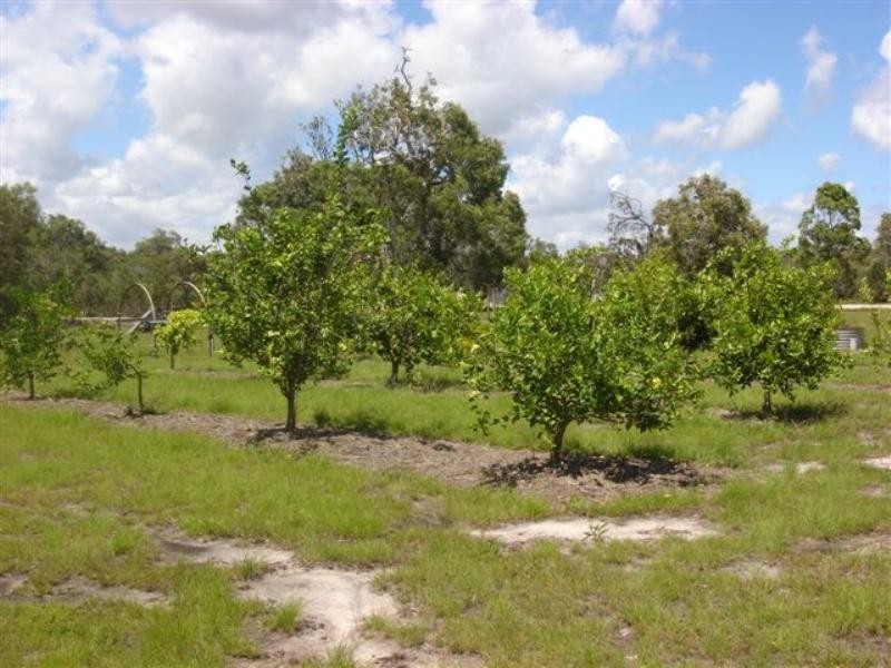 Agnes Water QLD 4677