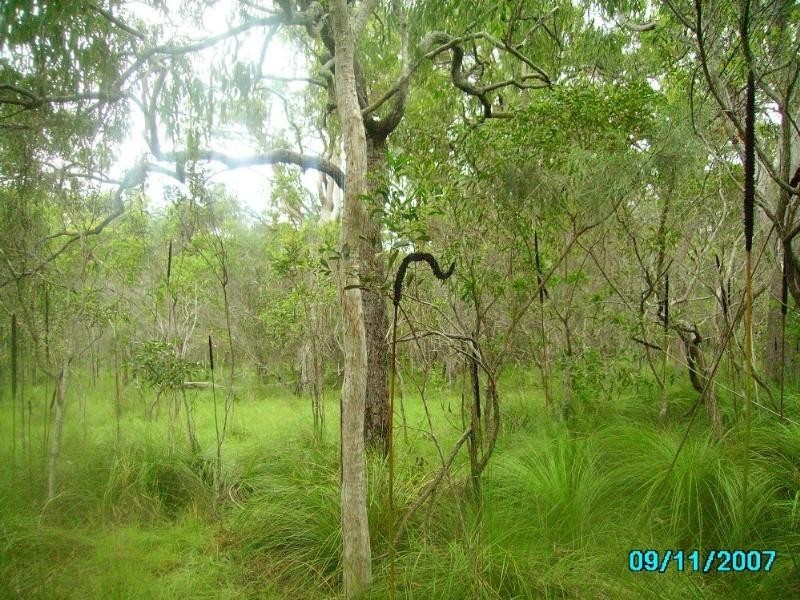 Agnes Water QLD 4677