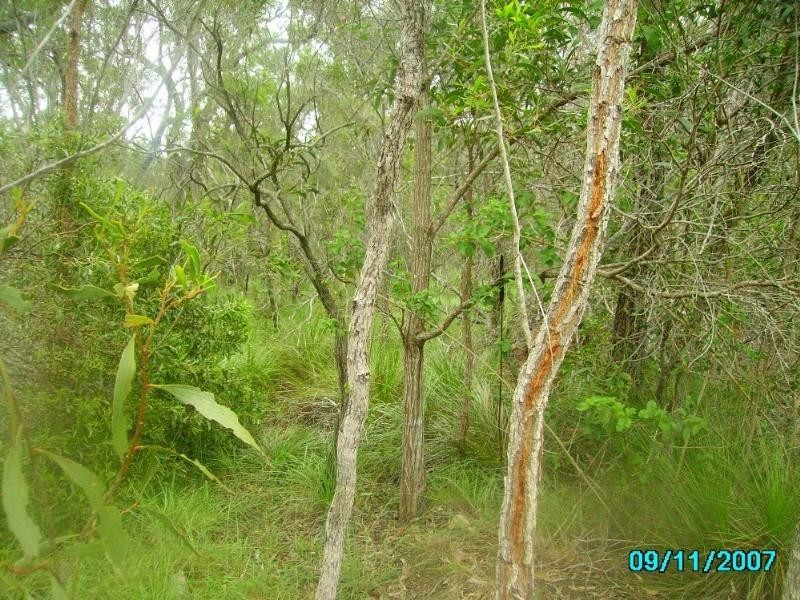 Agnes Water QLD 4677