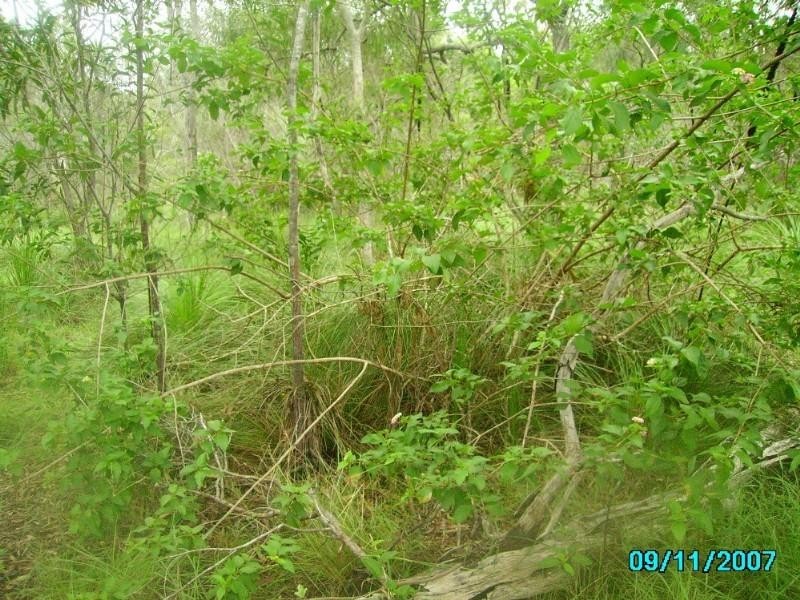 Agnes Water QLD 4677