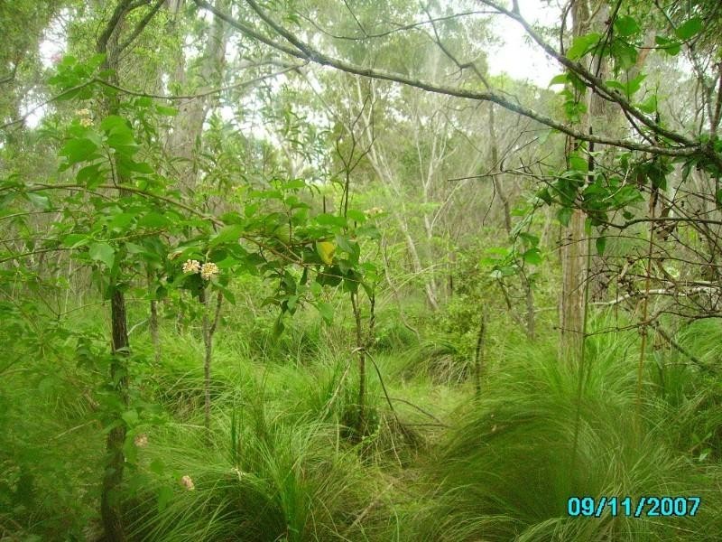 Agnes Water QLD 4677