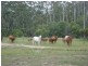 Captain Creek QLD 4677