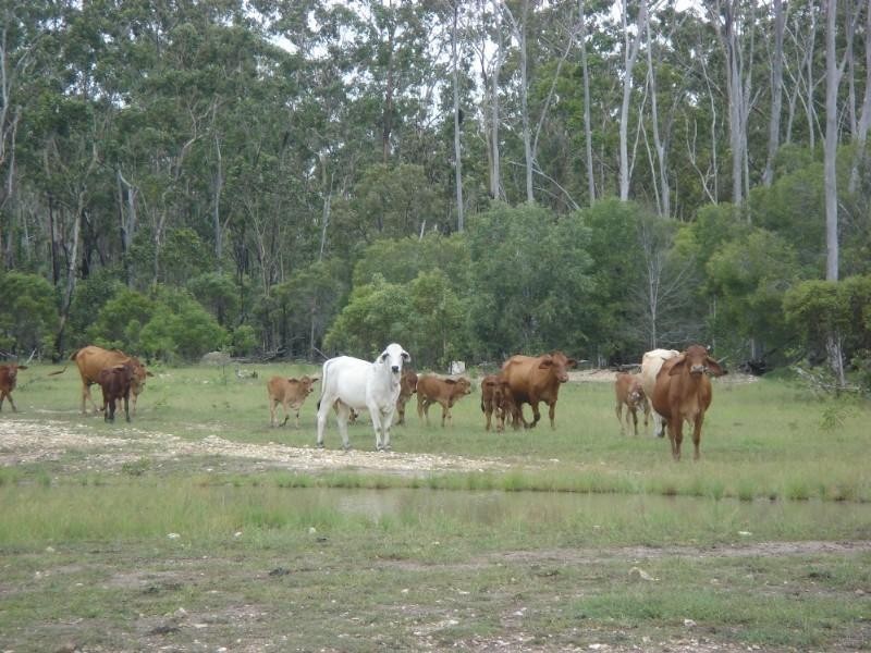 Captain Creek QLD 4677
