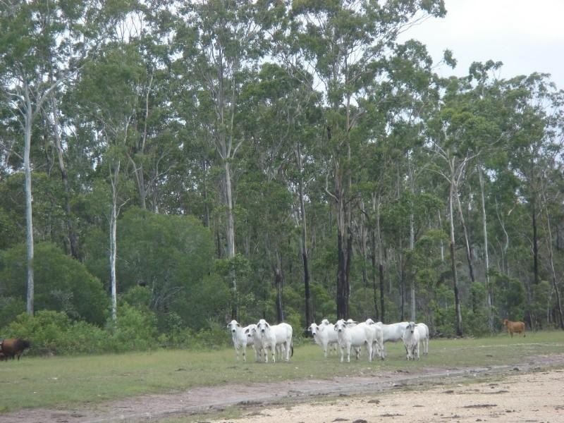 Captain Creek QLD 4677
