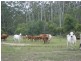 Captain Creek QLD 4677