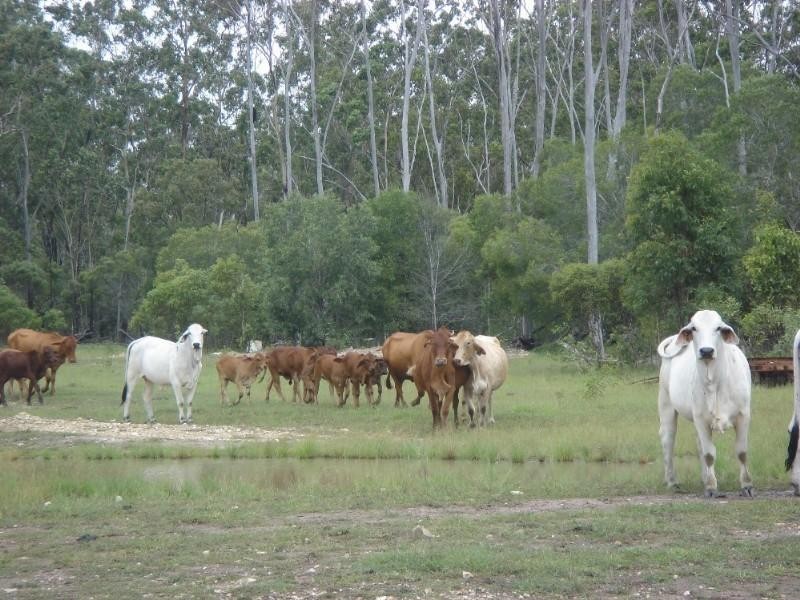 Captain Creek QLD 4677