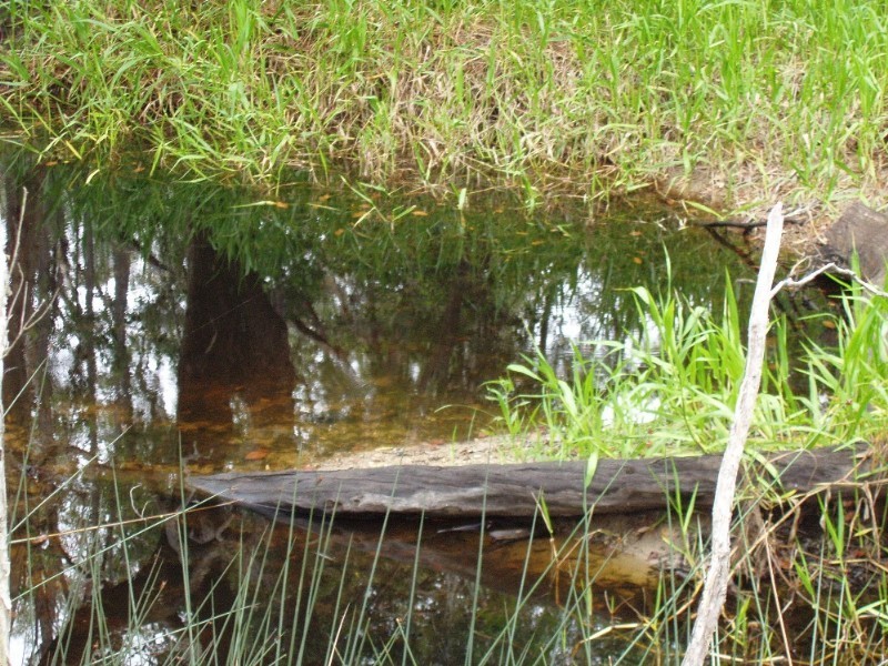 Captain Creek QLD 4677