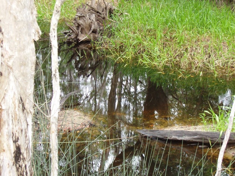 Captain Creek QLD 4677