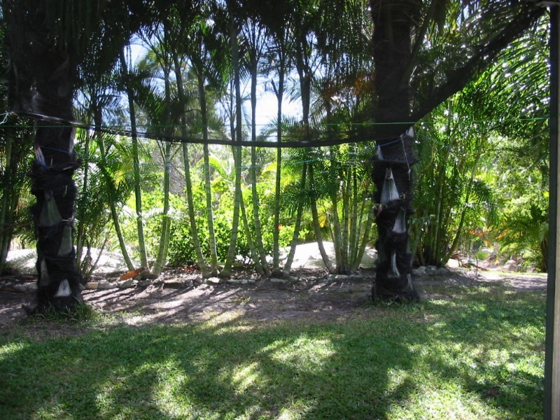 157 Streeter Drive, Agnes Water QLD 4677