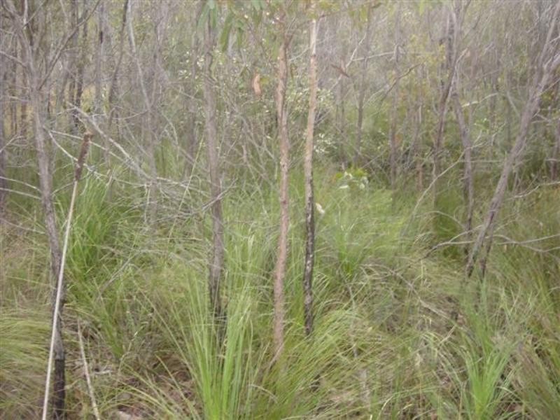 Agnes Water QLD 4677