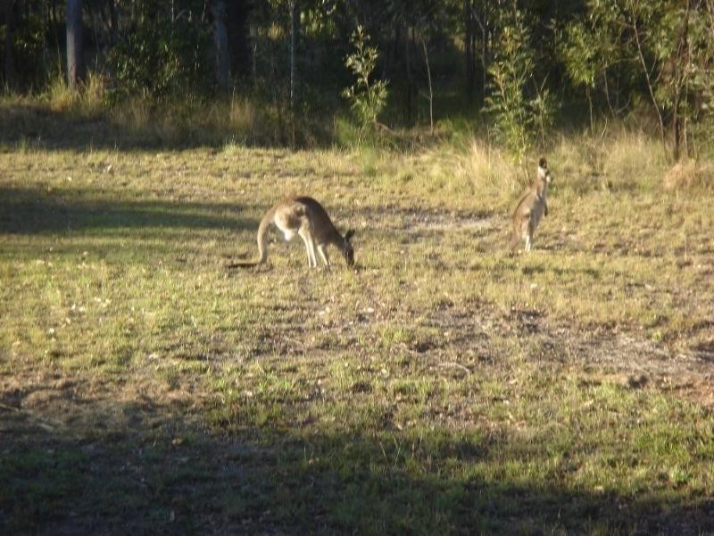 Agnes Water QLD 4677