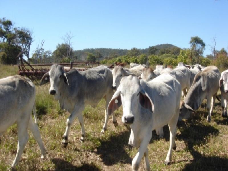 Agnes Water QLD 4677
