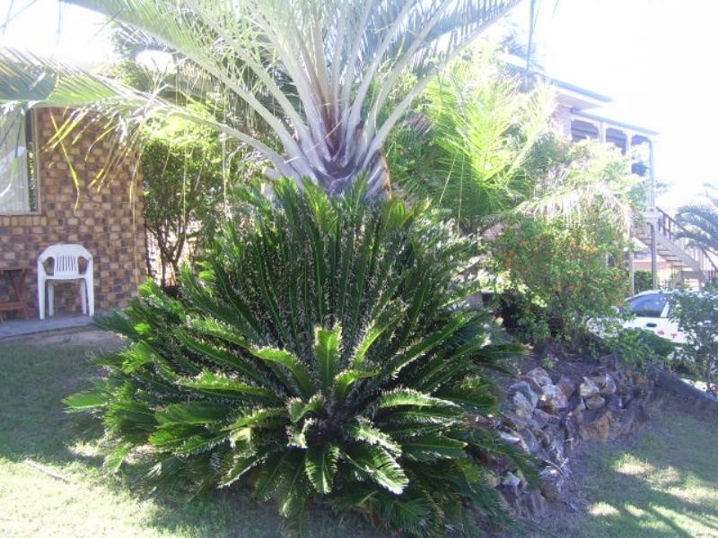 Agnes Water QLD 4677