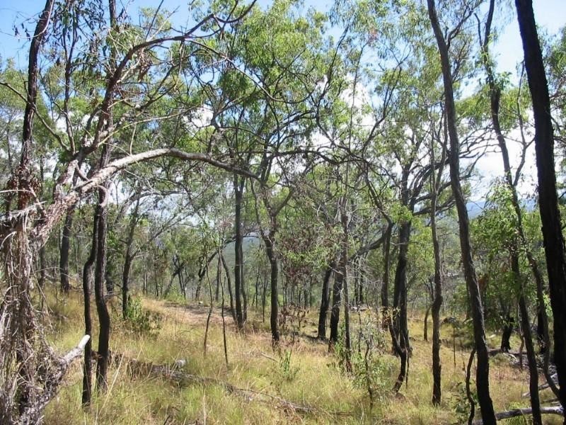 Agnes Water QLD 4677