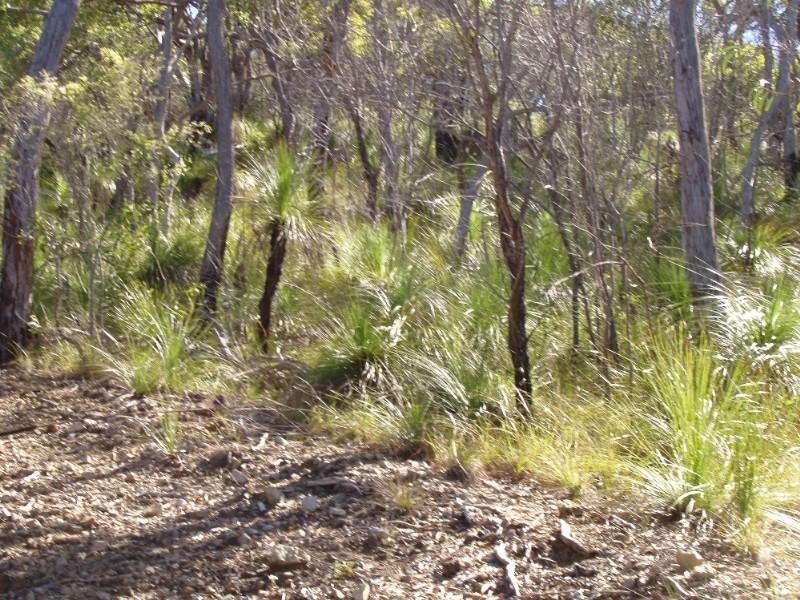 Agnes Water QLD 4677