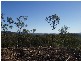 Lowmead QLD 4676