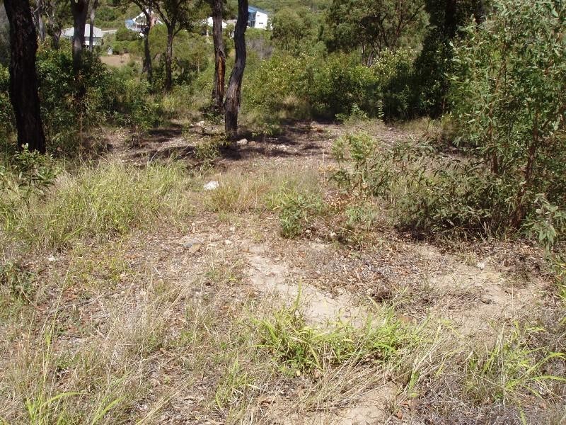 Agnes Water QLD 4677
