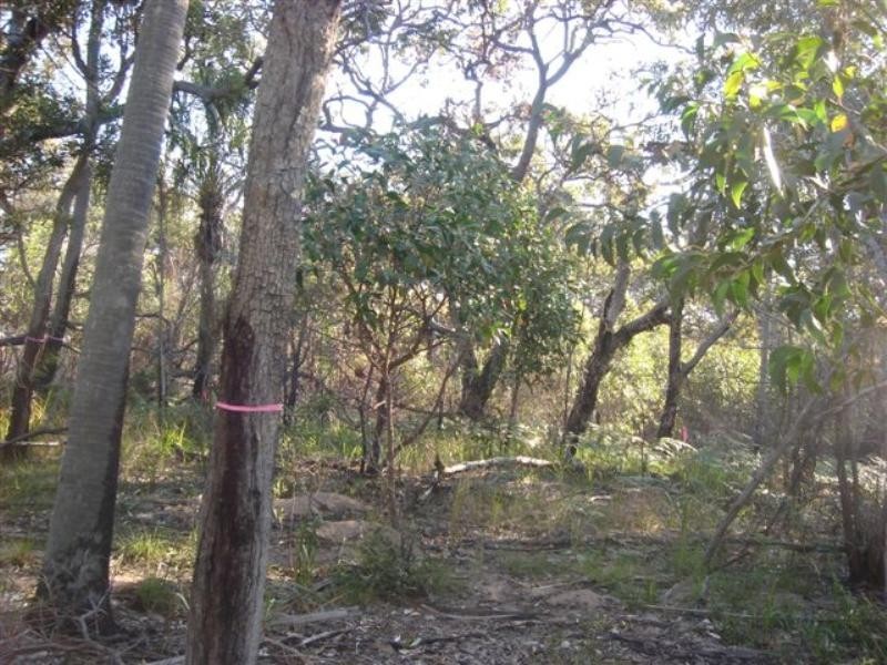 Lot 84 Sunrise @ 1770, Agnes Water QLD 4677