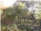Lot 84 Sunrise @ 1770, Agnes Water QLD 4677