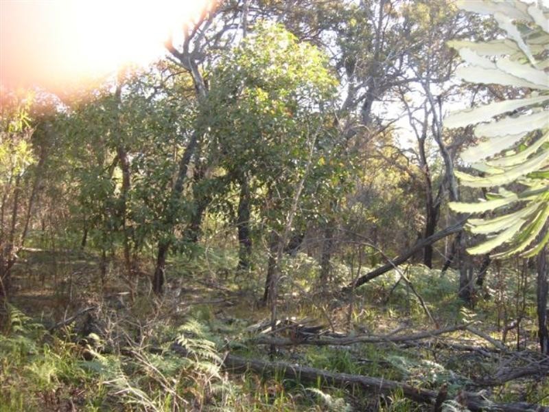 Lot 84 Sunrise @ 1770, Agnes Water QLD 4677