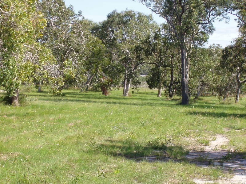 Agnes Water QLD 4677