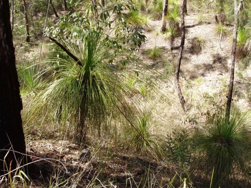 Captain Creek QLD 4677