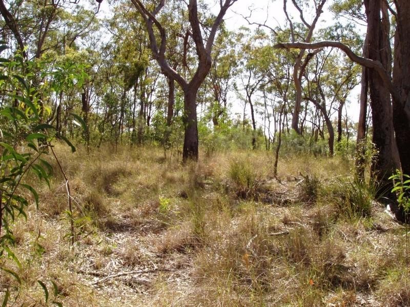 Captain Creek QLD 4677