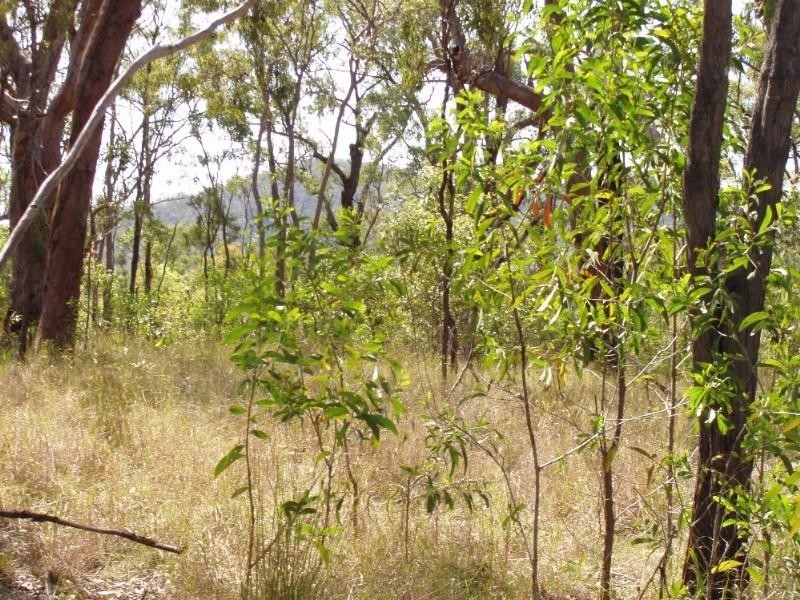 Captain Creek QLD 4677