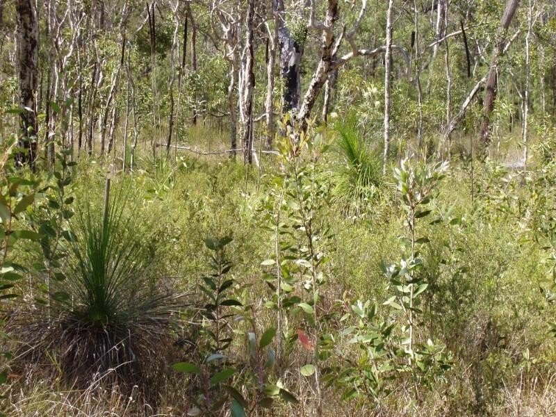 Captain Creek QLD 4677